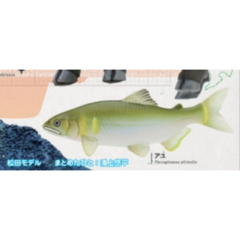 Mainan Kapsul Gashapon Jepang  - Capsule Toy Gashapon ulasan dan harga